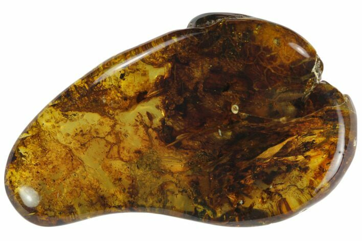 Polished Chiapas Amber ( g) - Mexico #114811